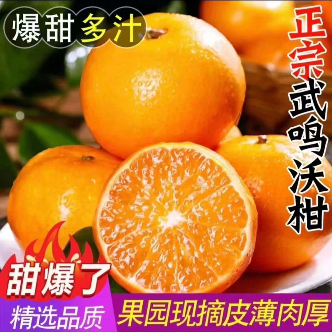 Mr头茬广西武鸣沃柑新鲜水果甜蜜多汁皮薄 酸甜可口