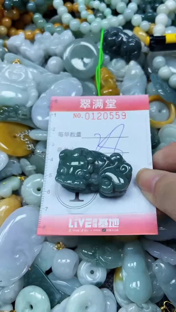 翡翠未镶嵌颈饰闪购0120559