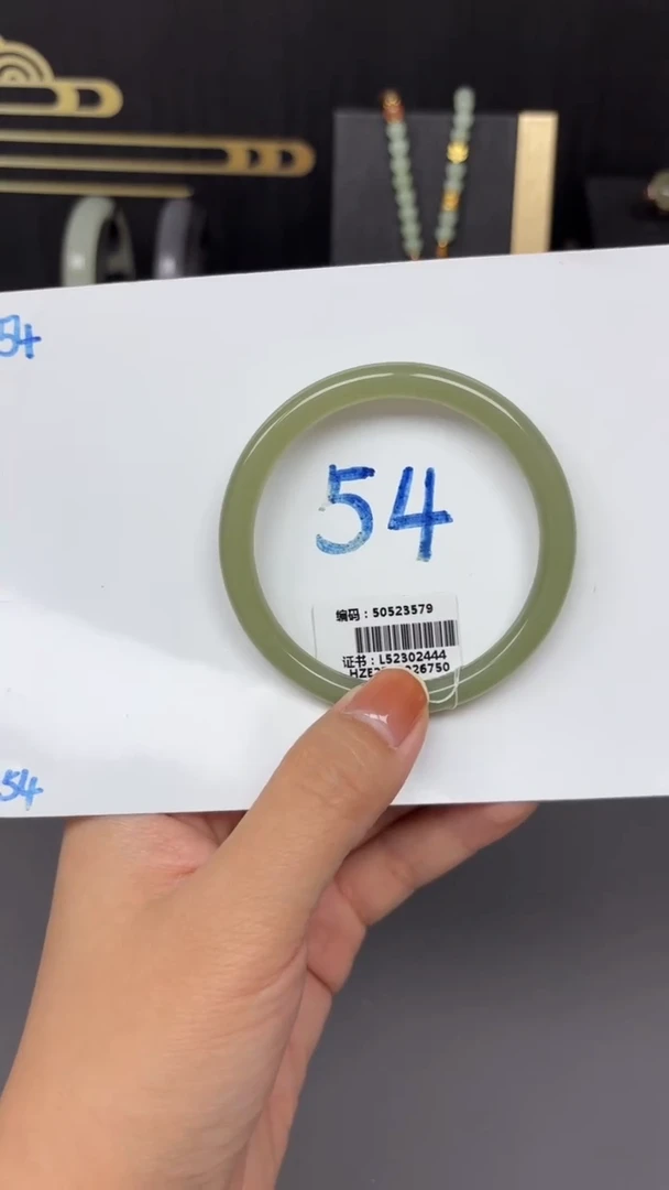 未镶嵌手镯和田玉3579