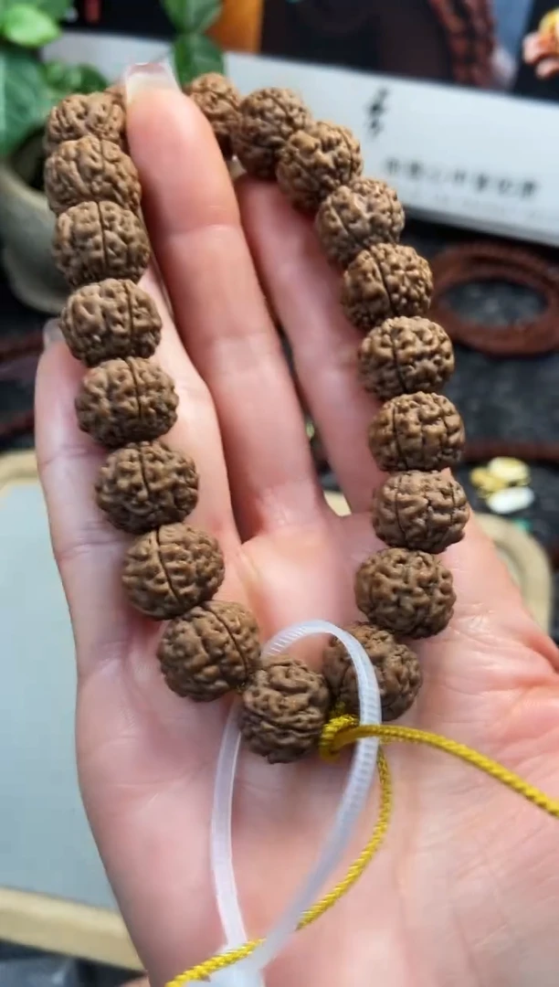 手串金刚菩提八龙15