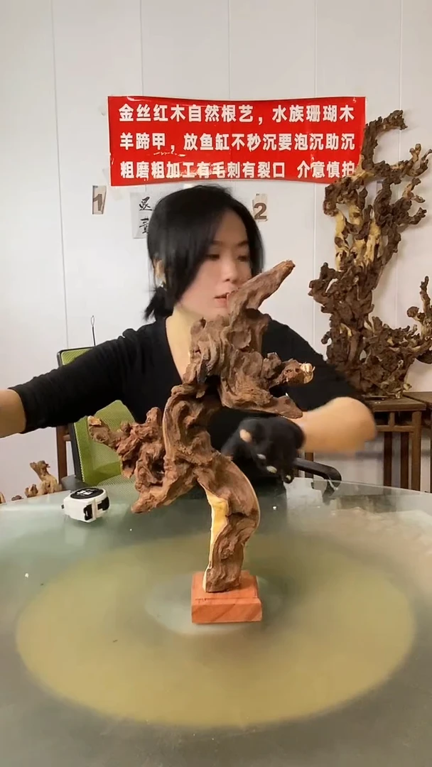 木一**顺金丝红木 羊蹄甲