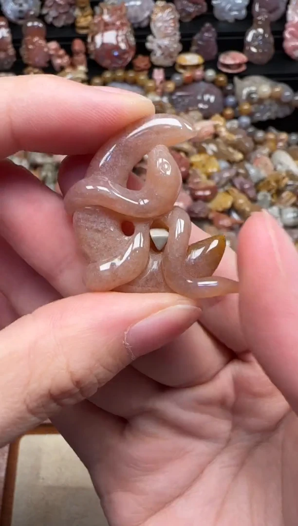 颈饰未镶嵌硅化珊瑚（珊瑚玉）238