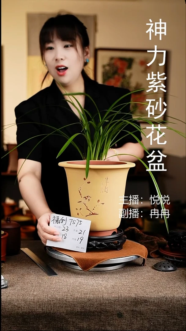 紫砂花盆花卉工艺7575+s
