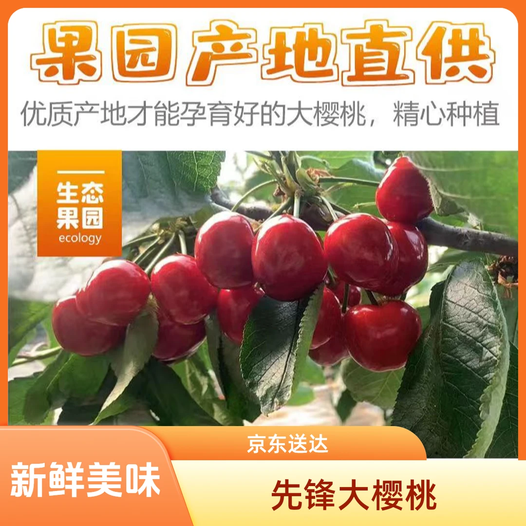 【现采现发】京东冷链正宗山东烟台大樱桃新鲜现采当季水果包邮