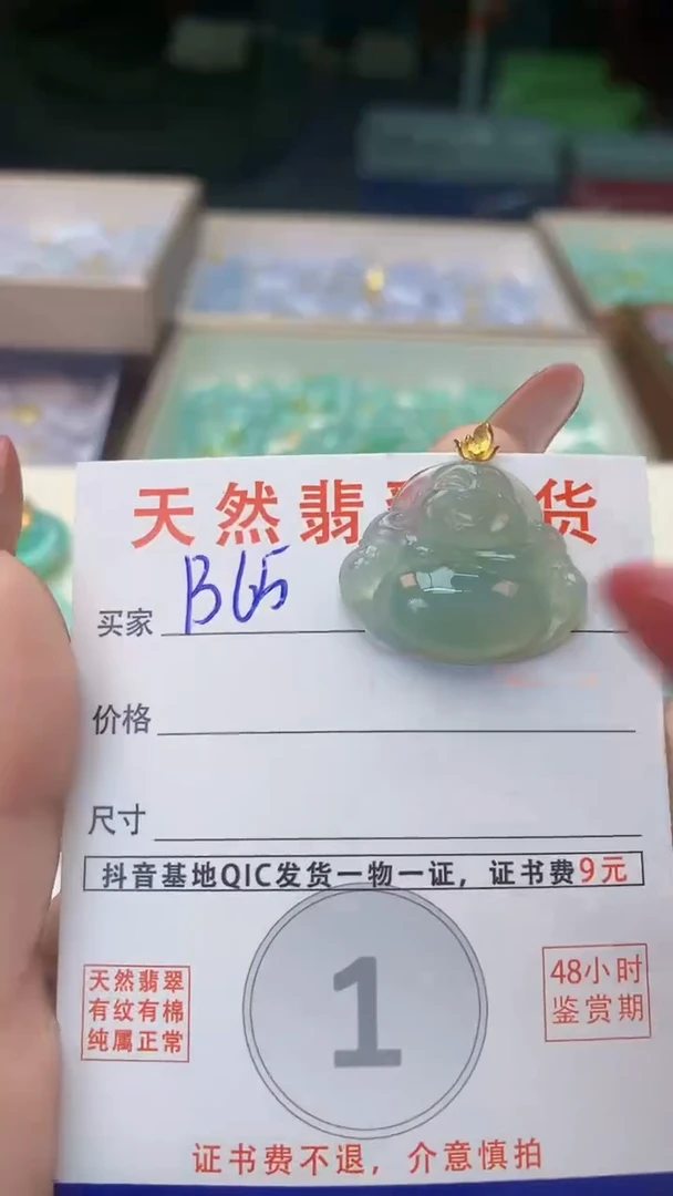 颈饰未镶嵌翡翠天然A货翡翠挂件