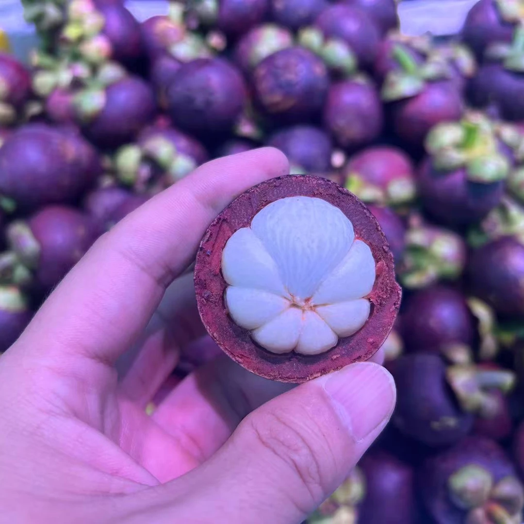 3A山竹 1斤左右（水果）