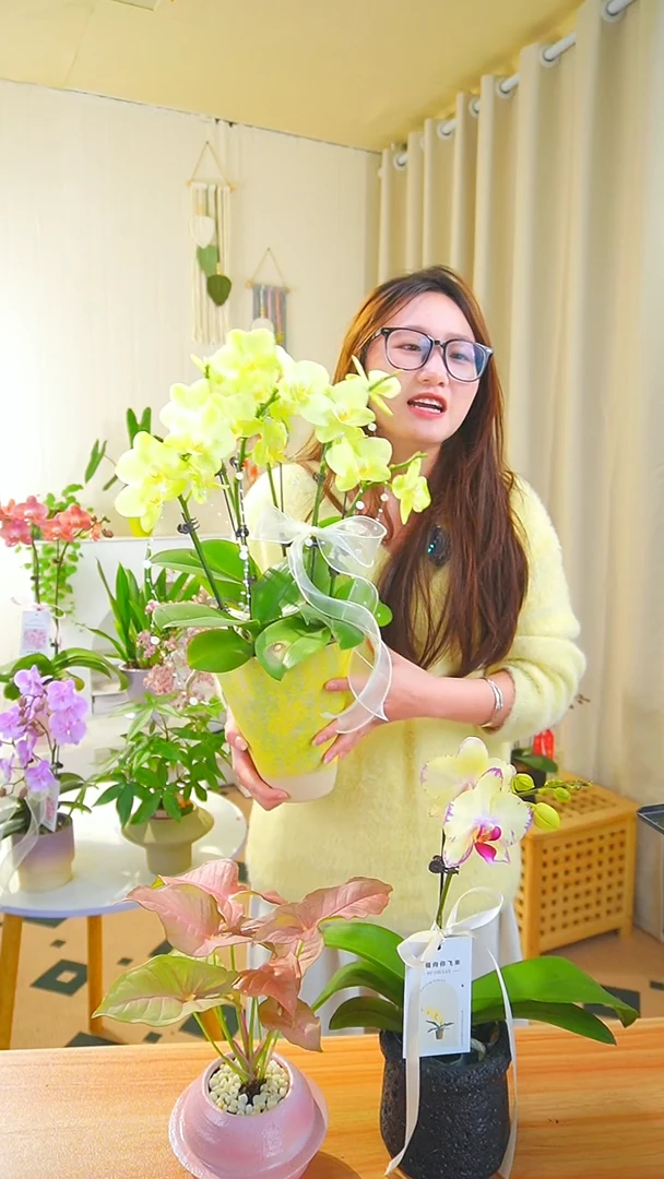 完全开放直播间一物一拍