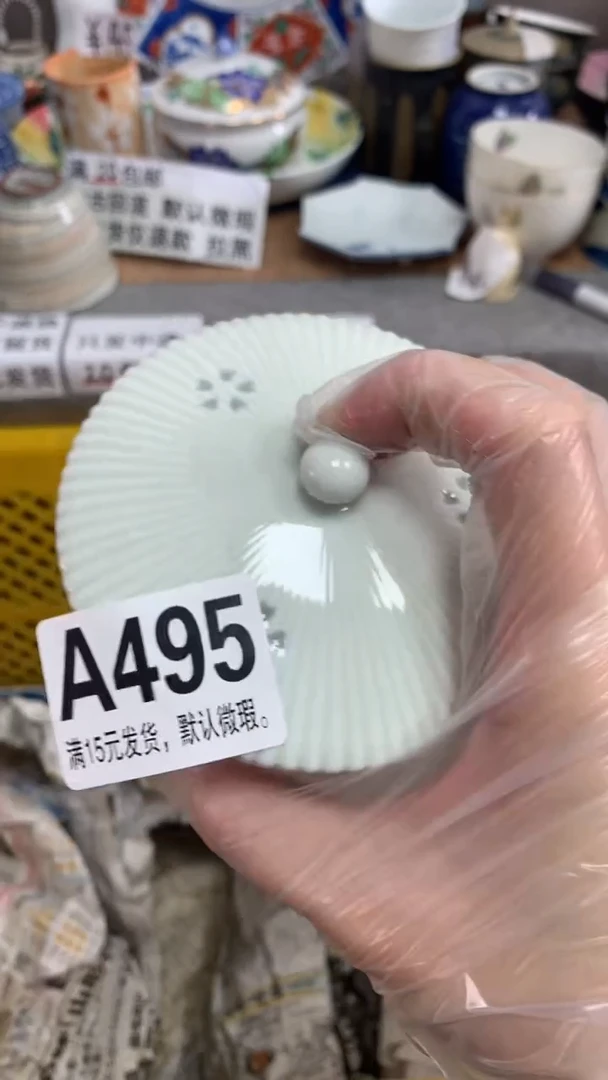 【闪购商品】瓷片495 张闪闪 张闪闪 张闪闪 张闪闪