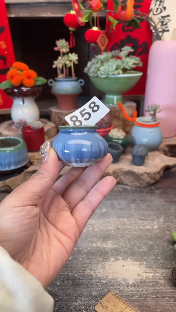 【闪购商品】摆件858知木小芳花盆