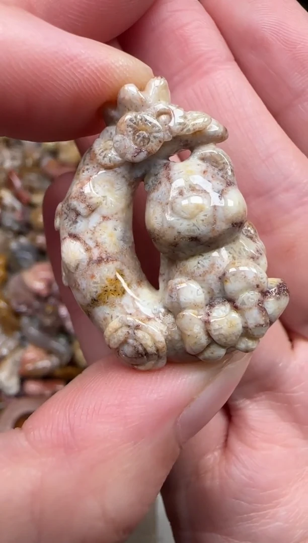 颈饰未镶嵌硅化珊瑚（珊瑚玉）332