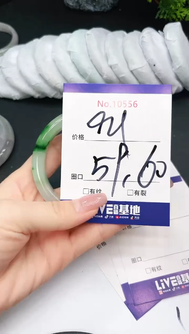 未镶嵌手镯翡翠10556