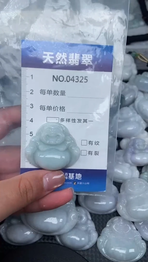 颈饰未镶嵌翡翠纯天然A货翡翠4325