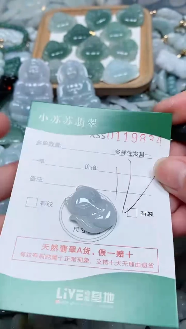 【闪购商品】翡翠颈饰未镶嵌闪购商品0119834