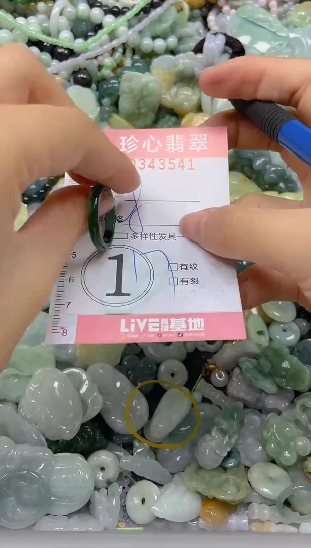 颈饰未镶嵌翡翠闪购0343541