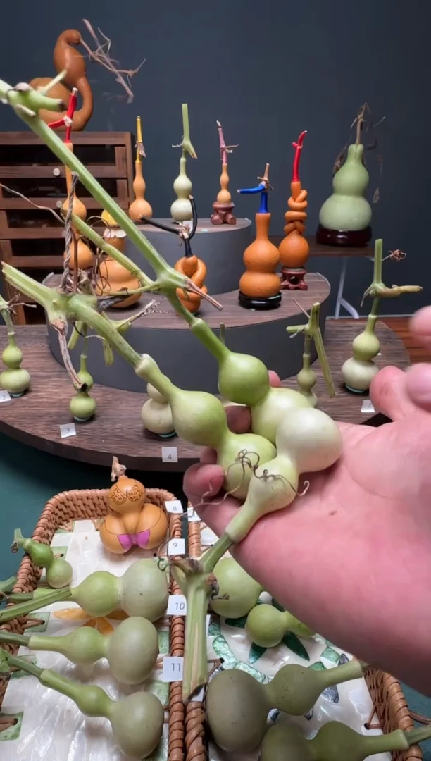 玄***客文玩葫芦摆件手把件青皮天津嘴