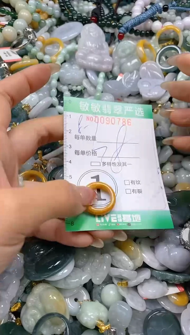 【闪购商品】翡翠颈饰未镶嵌闪购0090786