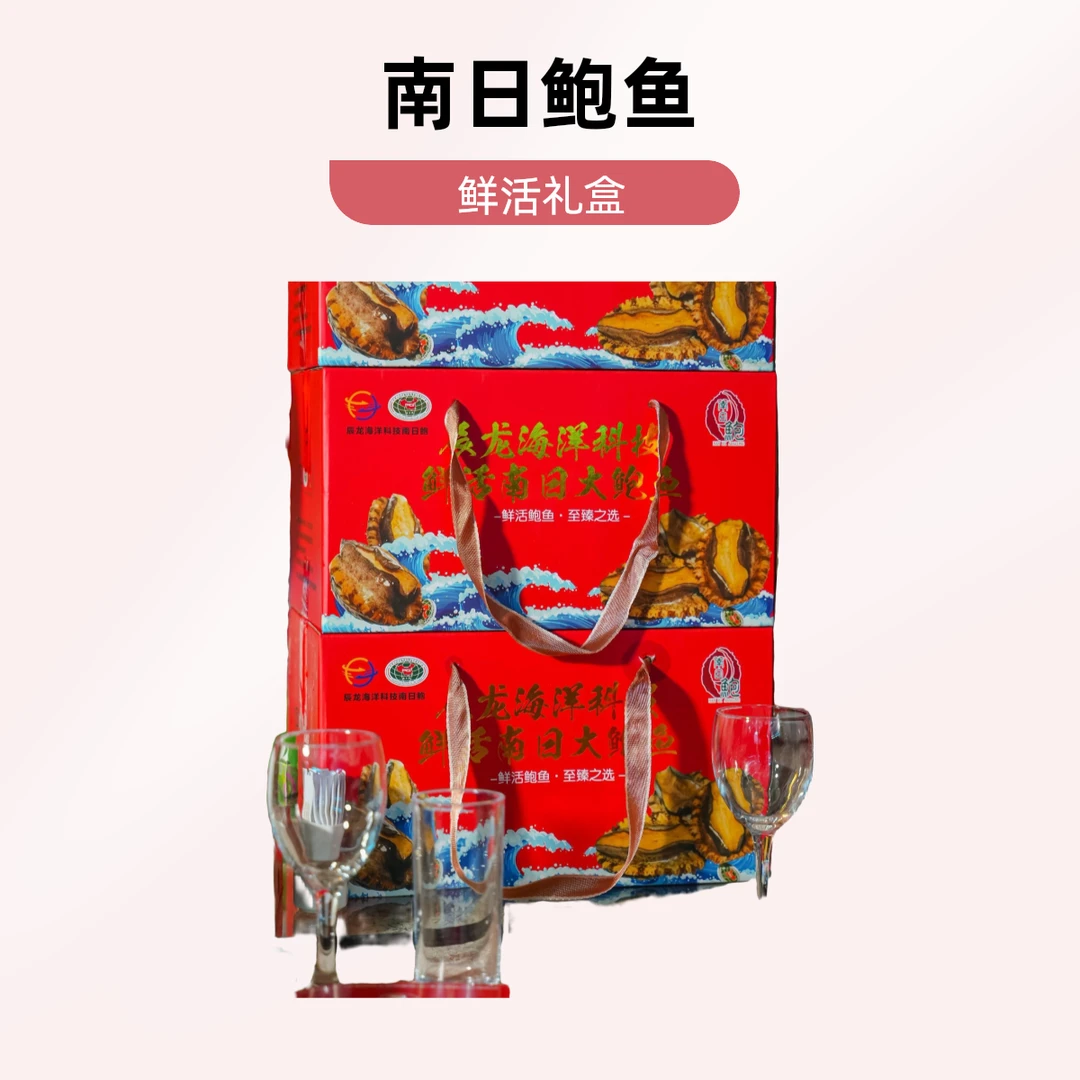 【礼盒装5头鲍】鲜活南日鲍南日岛黄金大鲍鱼包活到家