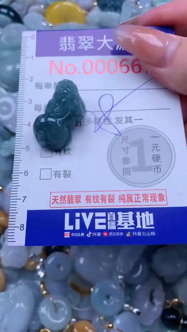 翡翠未镶嵌吊坠(不含链)6676