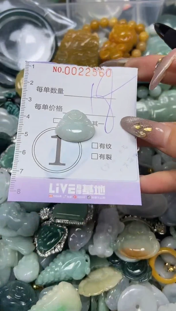 【闪购商品】翡翠颈饰未镶嵌闪购0022560