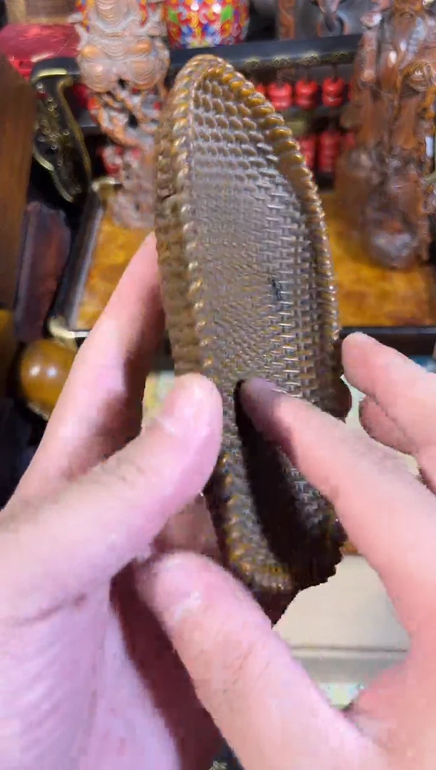 黄杨木1111111111111111111