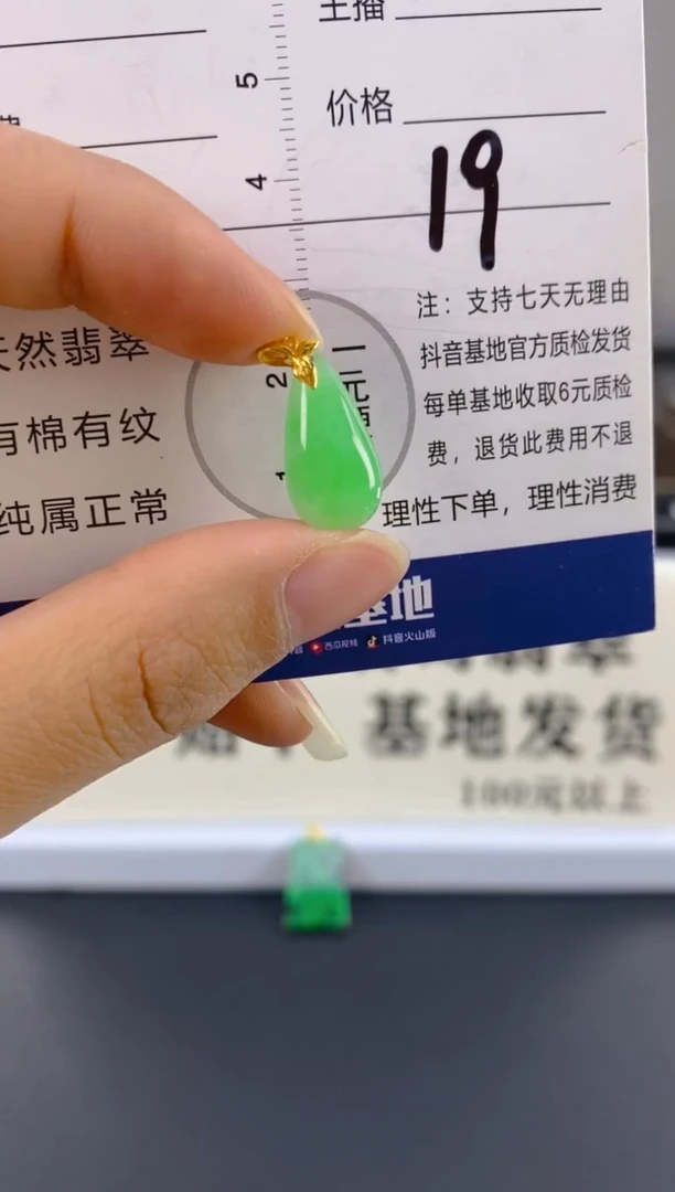 【闪购商品】翡翠颈饰18K金镶嵌天然A货翡翠