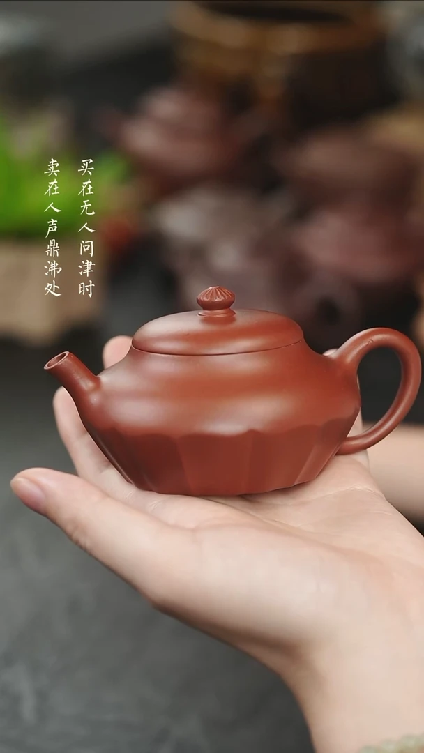 茶壶紫砂拾珍堂红皮龙裳合