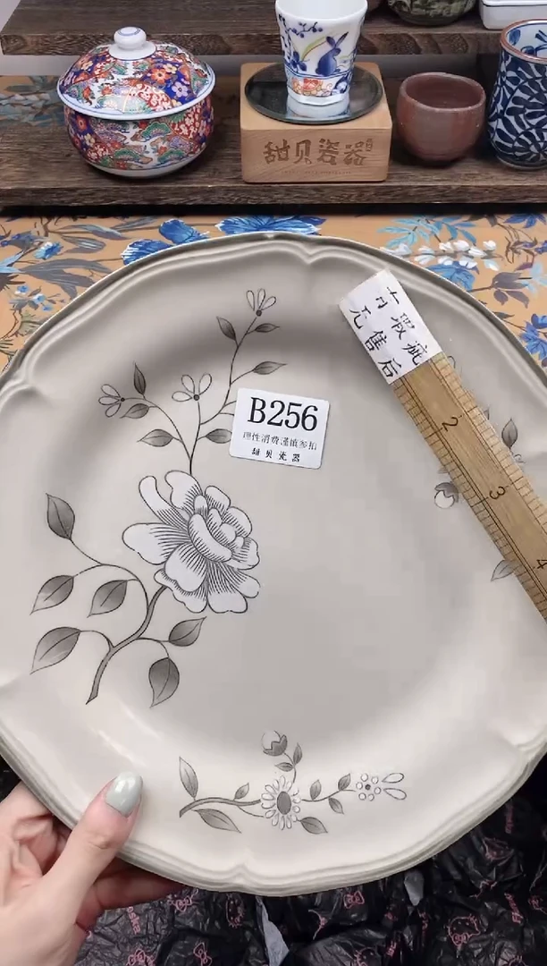 瓷片L*                B256