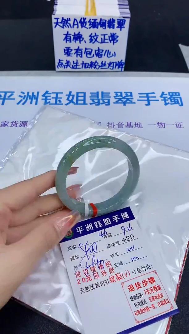未镶嵌手镯翡翠11111