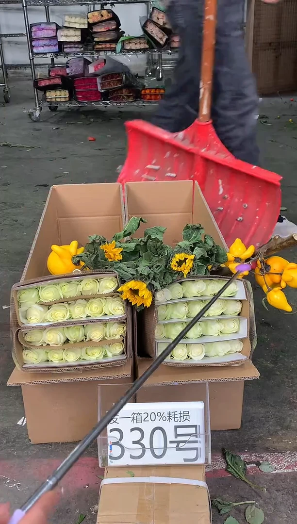 330号♥中通含20%耗损发一箱