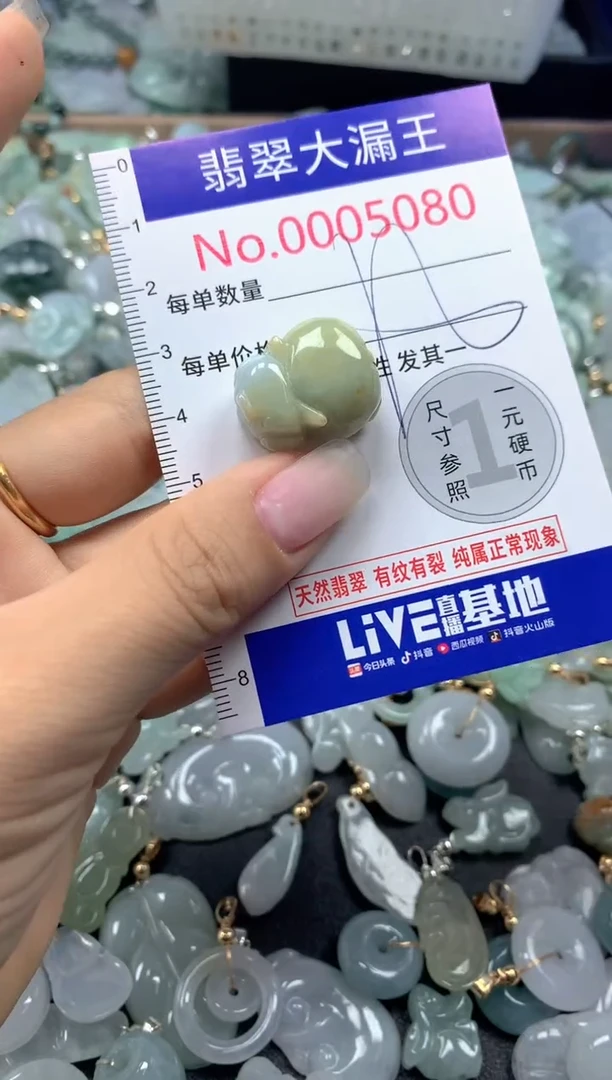 颈饰未镶嵌翡翠5080