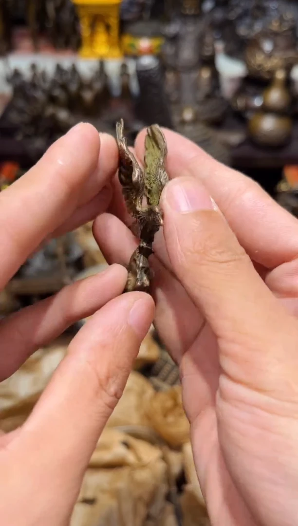 诺诺高端精选链接T51