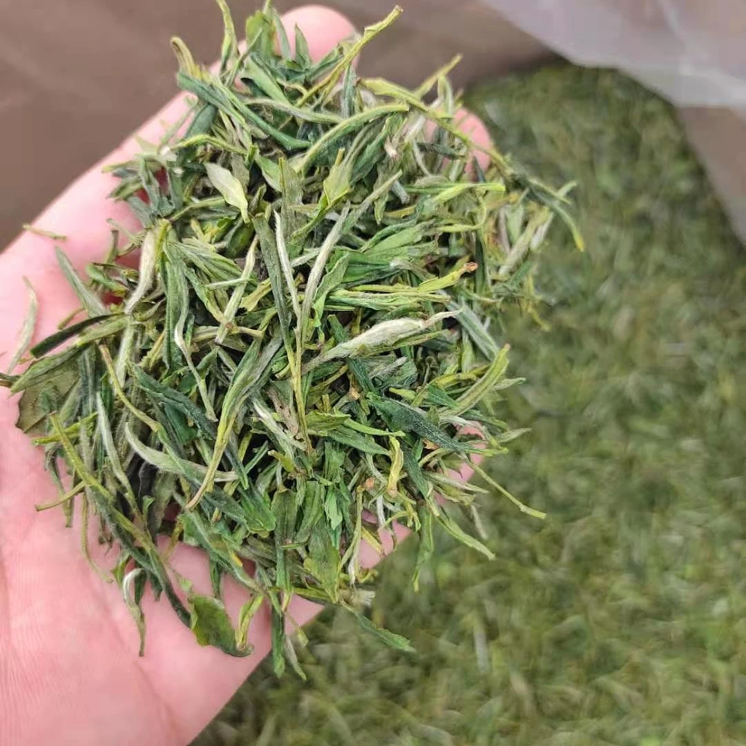 霍山黄牙茶黄茶黄芽茶大华平金鸡山茶叶