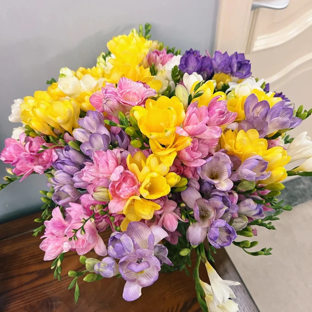 香雪兰，香到爆，一单中通包邮，两单升级顺丰冷链包邮【花燃花坊】