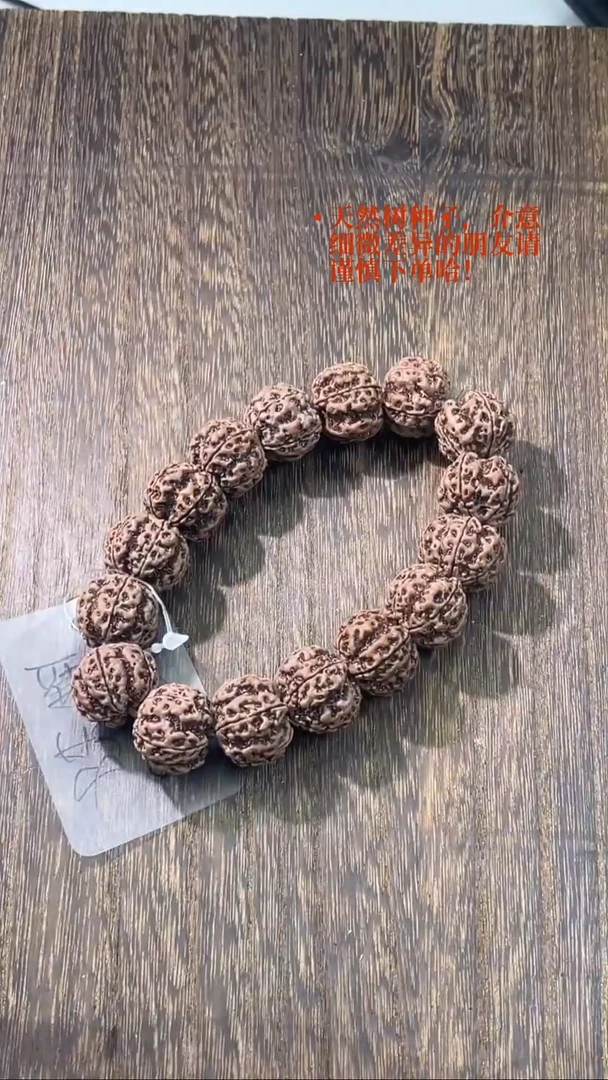 金刚菩提手串6 S级铁籽双龙19