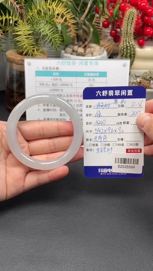 未镶嵌手镯翡翠泠*D2525569