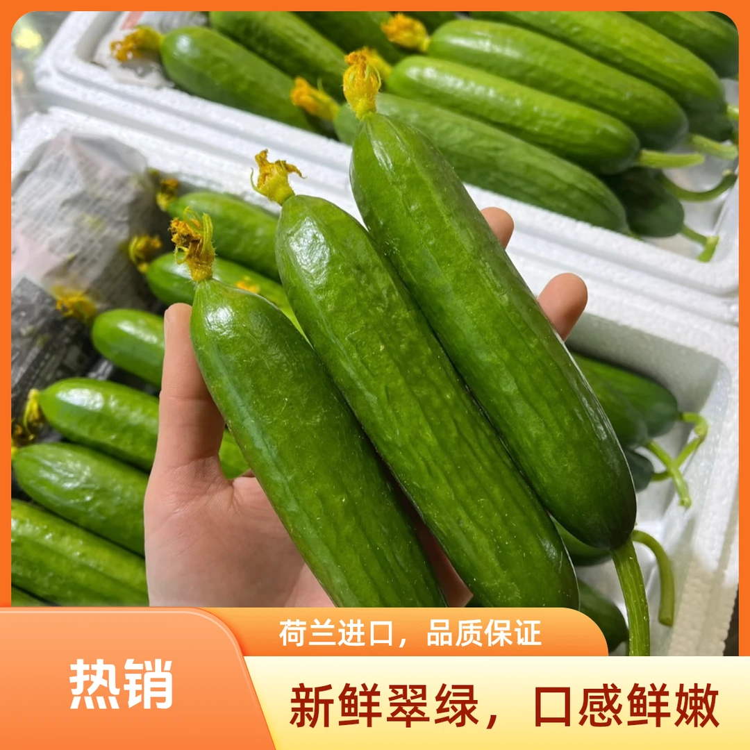 水果黄瓜一份（近500g）