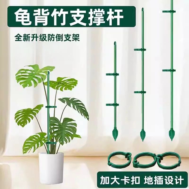 植物支撑杆兰花护叶枝龟背竹海芋专用园艺扶持架花卉防倒伏固定器