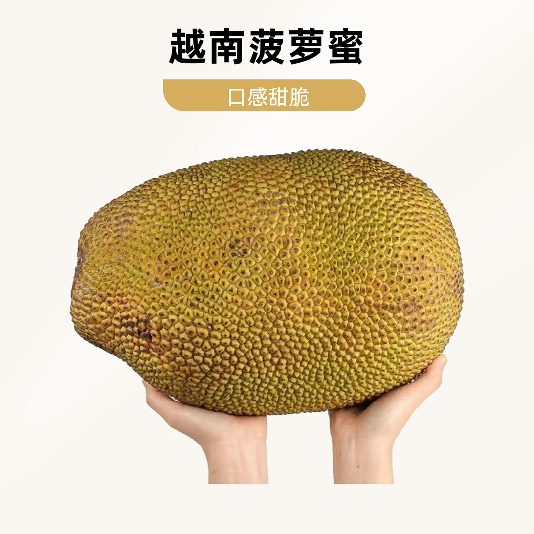 （整果红肉四分之一）菠萝蜜越南菠萝蜜越南进口菠萝蜜清甜爽口香甜菠萝蜜红肉菠萝蜜越南社会主义共和国