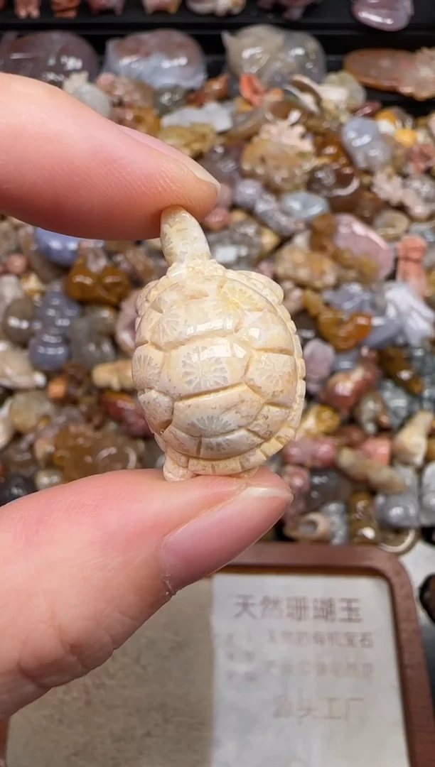 硅化珊瑚（珊瑚玉）未镶嵌颈饰270