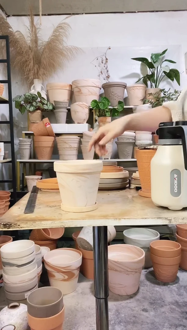 15*14玛奇朵 1盆1托