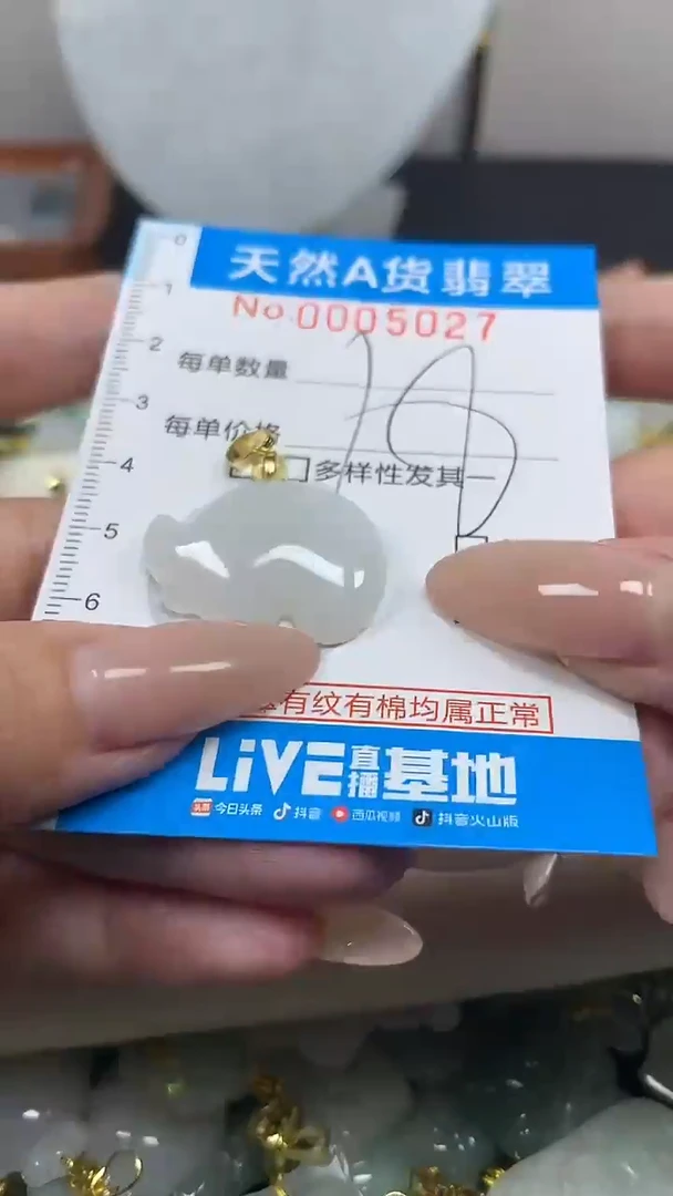 翡翠未镶嵌颈饰净货挂件-5027