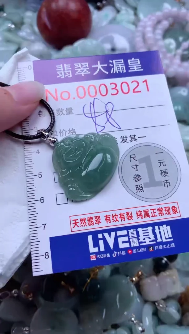 翡翠未镶嵌吊坠(不含链)3021多样性发其一