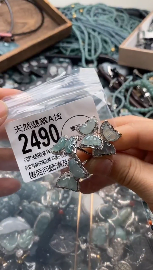 【闪购商品】翡翠颈饰未镶嵌多样性发其一2490