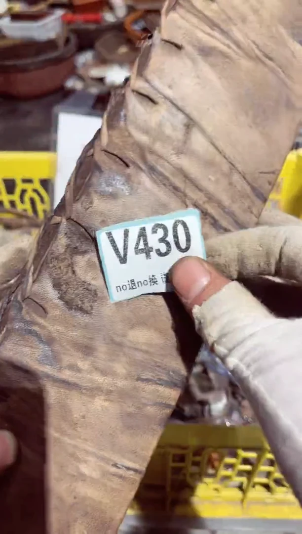 【闪购商品】瓷片瓷片瓷片瓷片瓷片