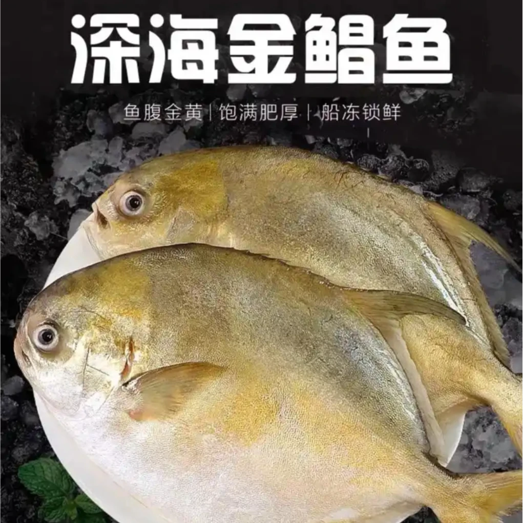 金鲳鱼新鲜海捕海鱼肉质新鲜细腻连云港发货顺丰450g/条*4