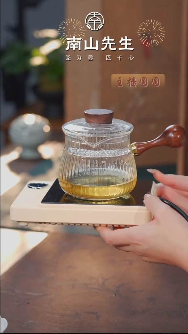 半见电陶炉+纳福侧把壶