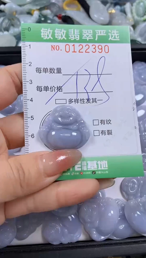 【闪购商品】翡翠颈饰未镶嵌闪购0122390多样性发其一