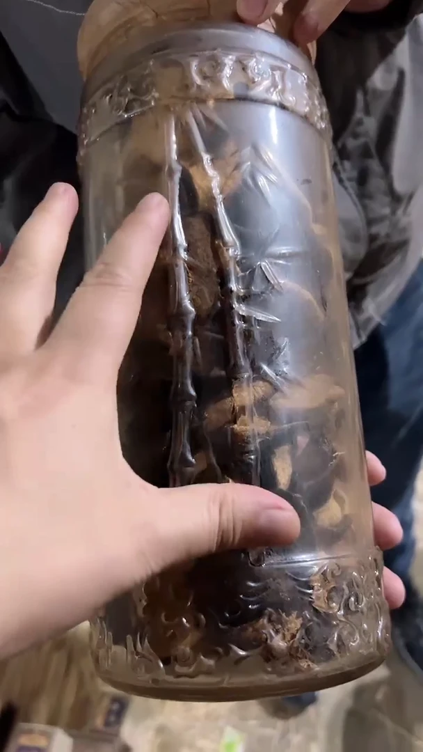 【闪购商品】紫砂紫砂紫砂紫砂
