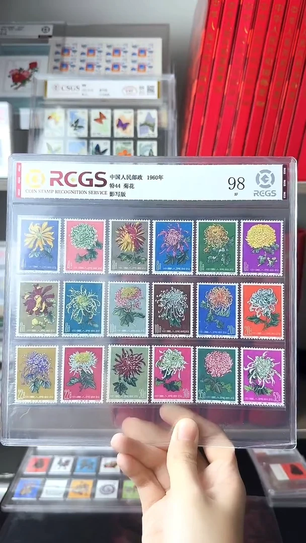 特44 菊花 新票 98分
