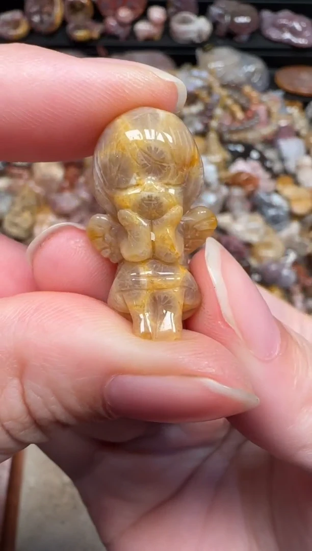 颈饰未镶嵌硅化珊瑚（珊瑚玉）519